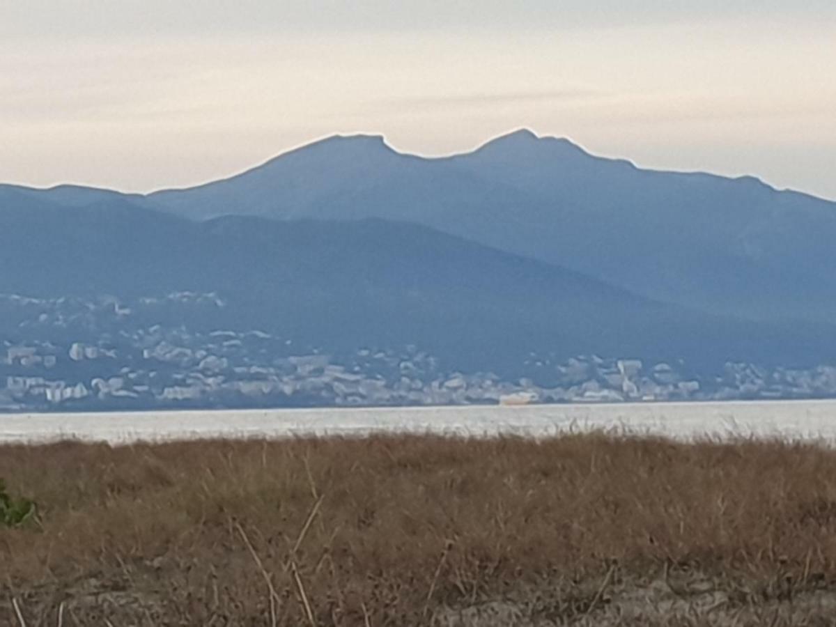 U Stagnu Locations Chambres Corse Borgo (Corsica) Exterior foto