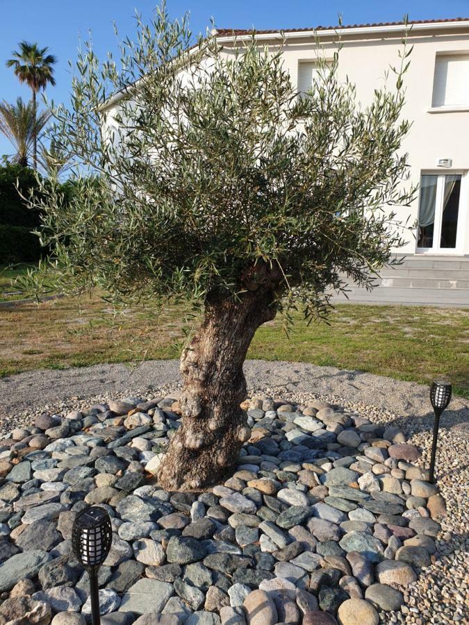 U Stagnu Locations Chambres Corse Borgo (Corsica) Exterior foto