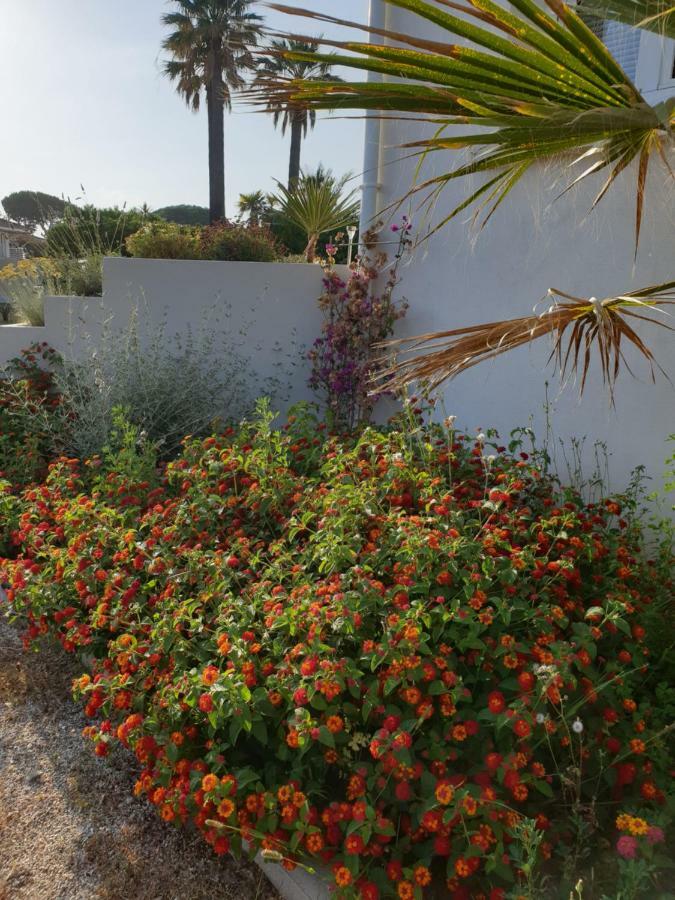 U Stagnu Locations Chambres Corse Borgo (Corsica) Exterior foto